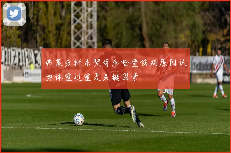 弗莱分析东契奇和哈登伤病原因认为体重过重是关键因素